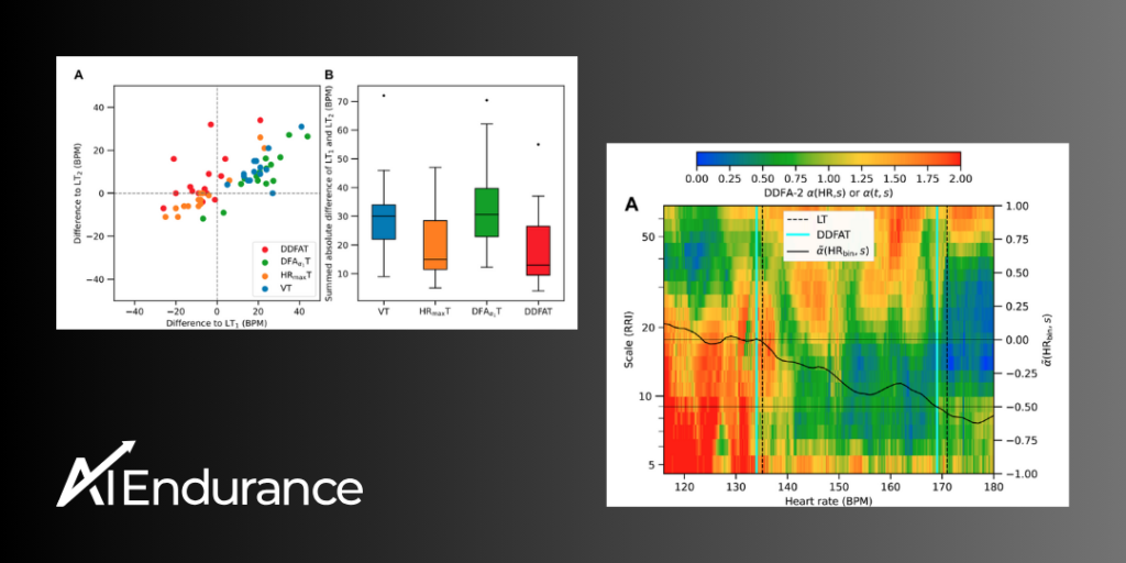 DDFA Dynamical Detrended Fluctuation Analysis | AI Endurance